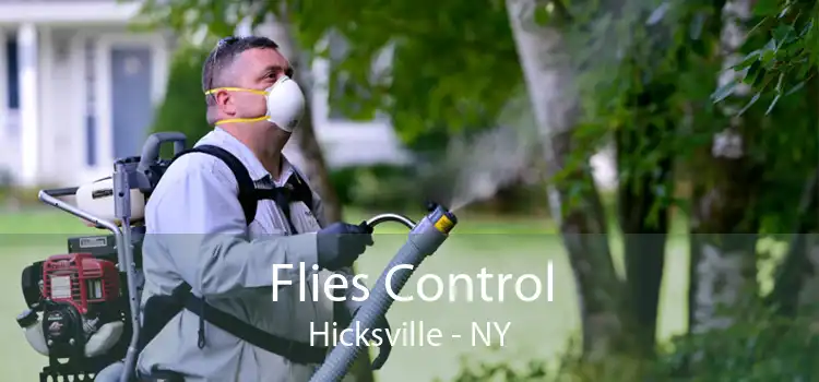 Flies Control Hicksville - NY