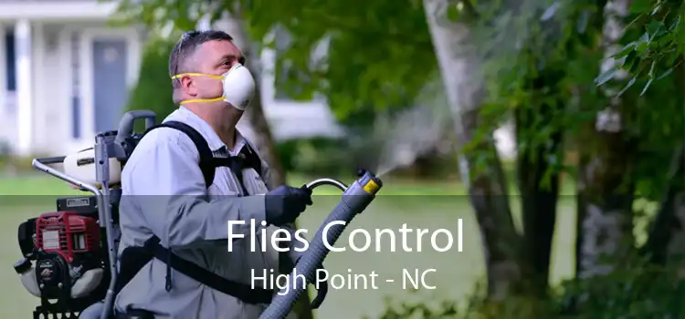 Flies Control High Point - NC