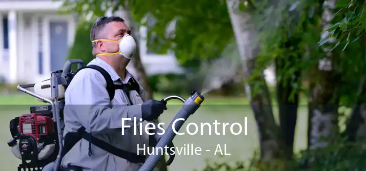 Flies Control Huntsville - AL