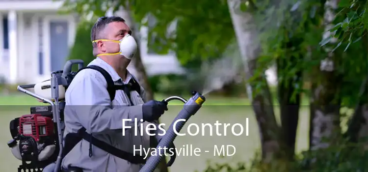 Flies Control Hyattsville - MD