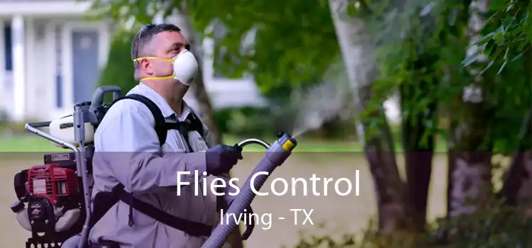 Flies Control Irving - TX