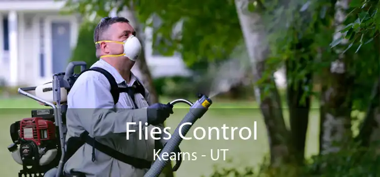 Flies Control Kearns - UT