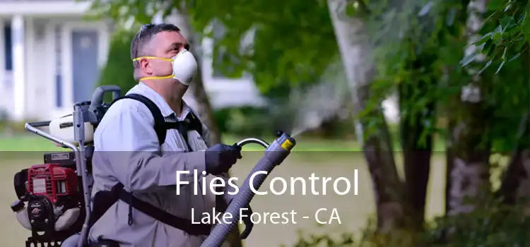 Flies Control Lake Forest - CA
