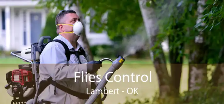 Flies Control Lambert - OK