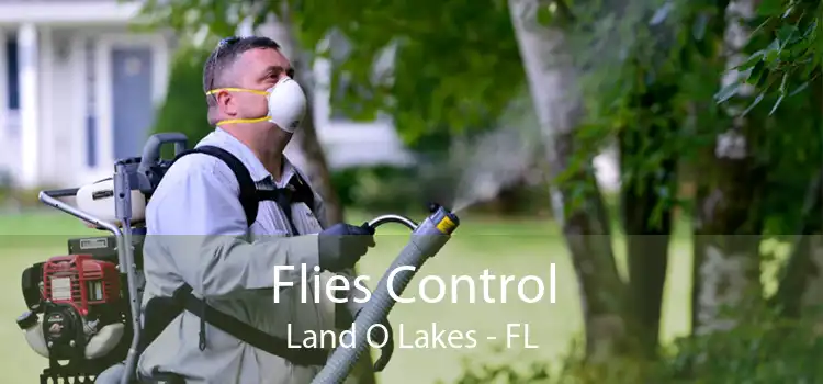 Flies Control Land O Lakes - FL