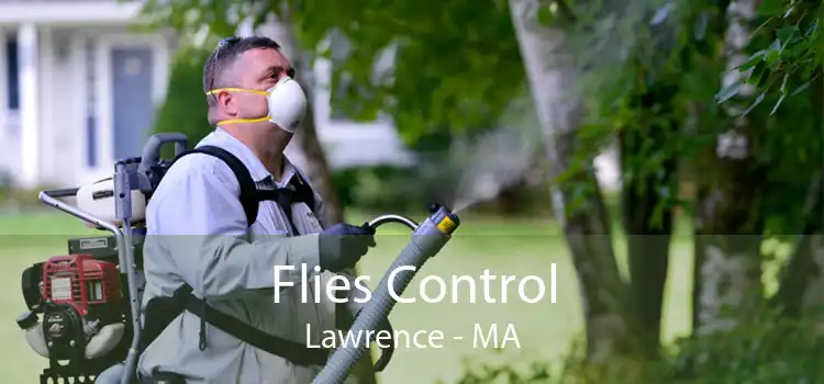 Flies Control Lawrence - MA