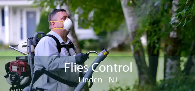 Flies Control Linden - NJ
