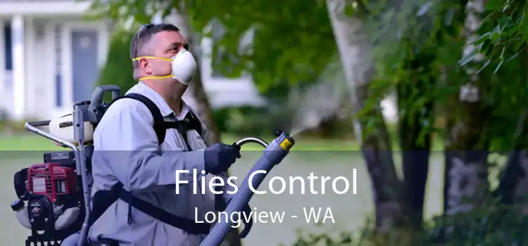 Flies Control Longview - WA