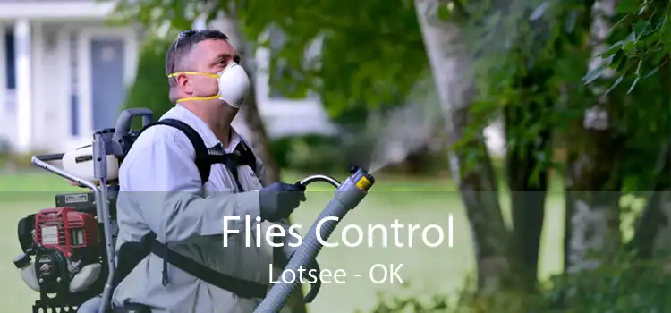 Flies Control Lotsee - OK