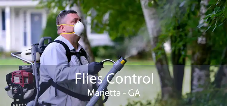 Flies Control Marietta - GA