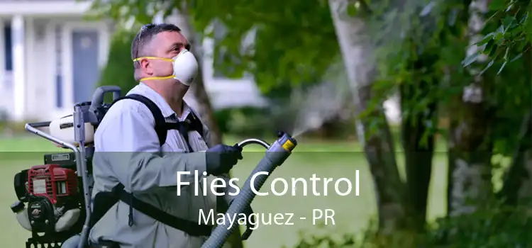 Flies Control Mayaguez - PR