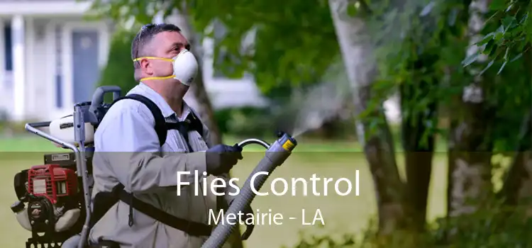 Flies Control Metairie - LA