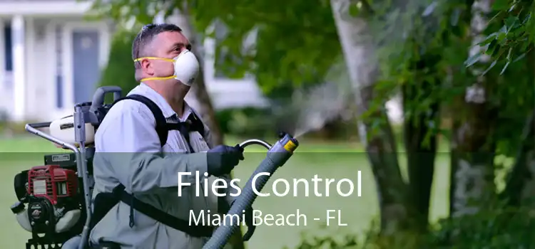 Flies Control Miami Beach - FL