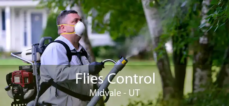 Flies Control Midvale - UT