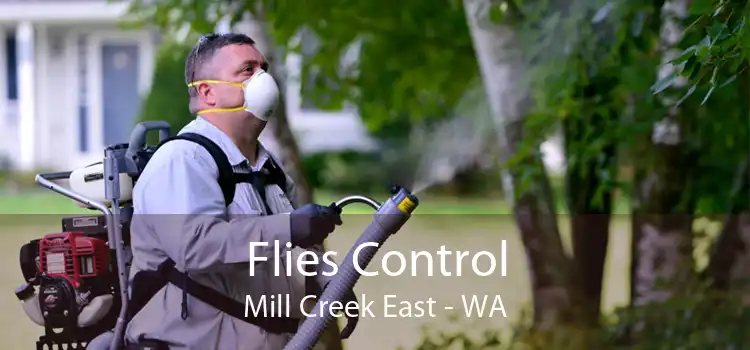 Flies Control Mill Creek East - WA