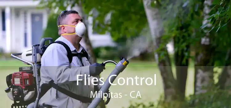 Flies Control Milpitas - CA