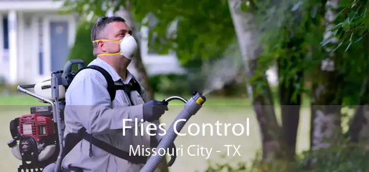 Flies Control Missouri City - TX