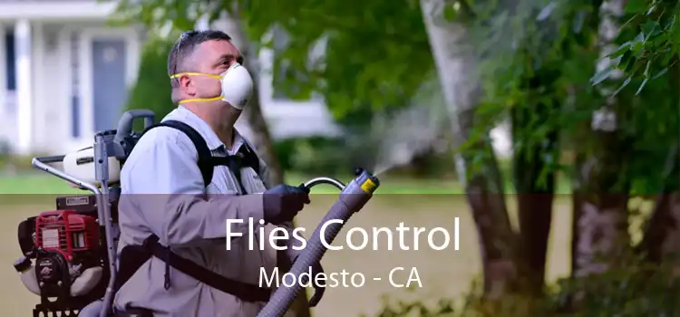 Flies Control Modesto - CA