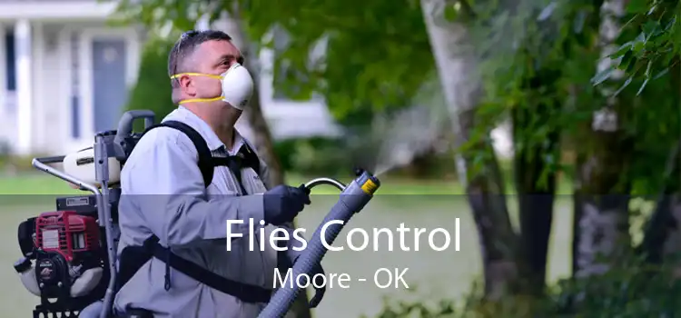 Flies Control Moore - OK