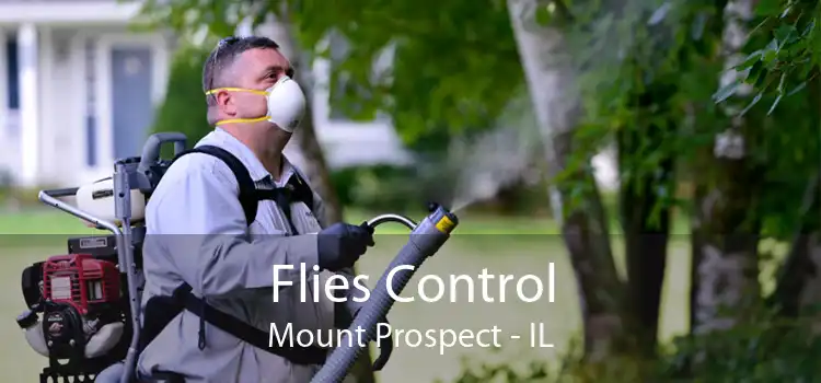 Flies Control Mount Prospect - IL
