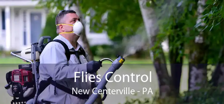Flies Control New Centerville - PA