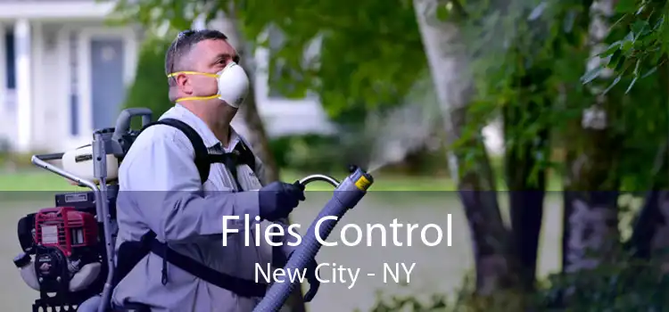Flies Control New City - NY