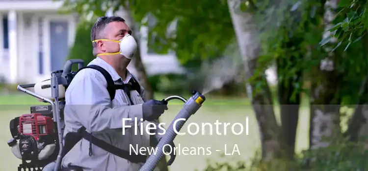 Flies Control New Orleans - LA
