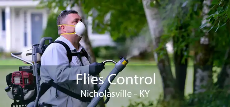 Flies Control Nicholasville - KY