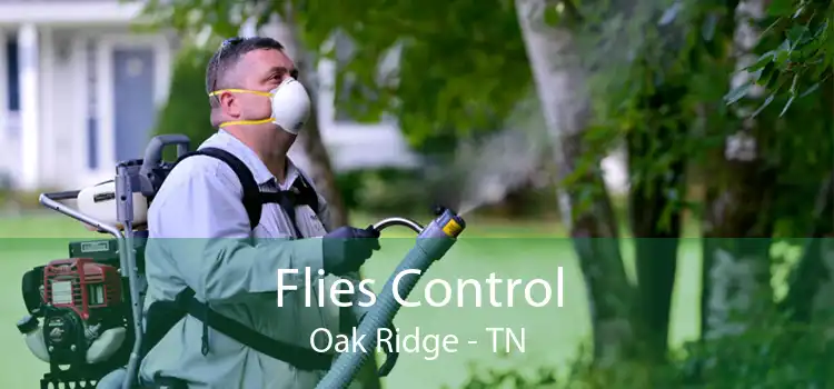 Flies Control Oak Ridge - TN