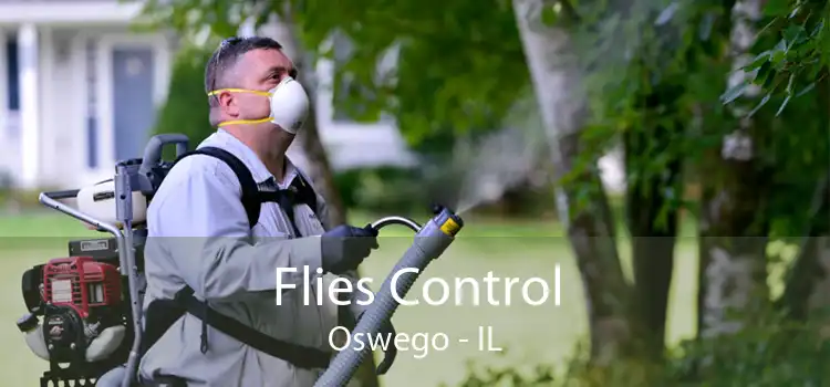 Flies Control Oswego - IL