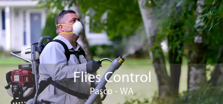 Flies Control Pasco - WA