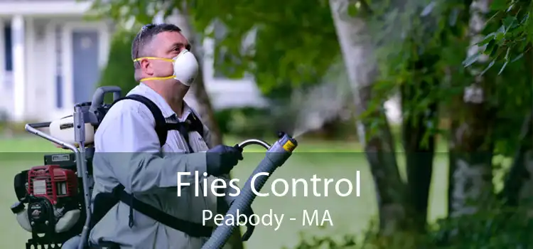 Flies Control Peabody - MA