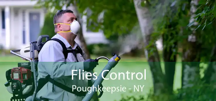Flies Control Poughkeepsie - NY