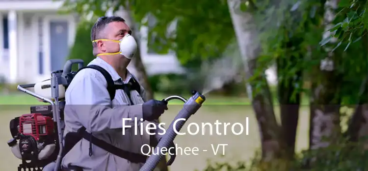 Flies Control Quechee - VT