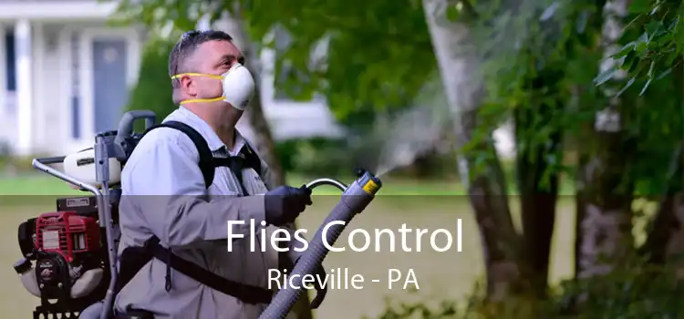 Flies Control Riceville - PA