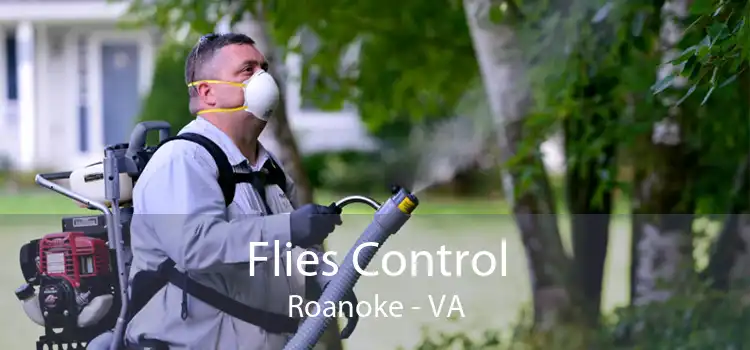 Flies Control Roanoke - VA