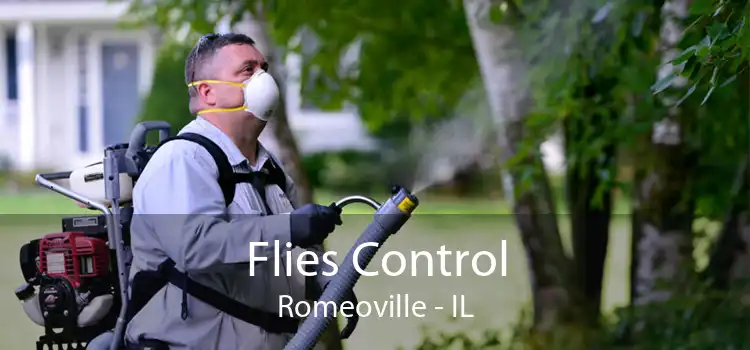 Flies Control Romeoville - IL