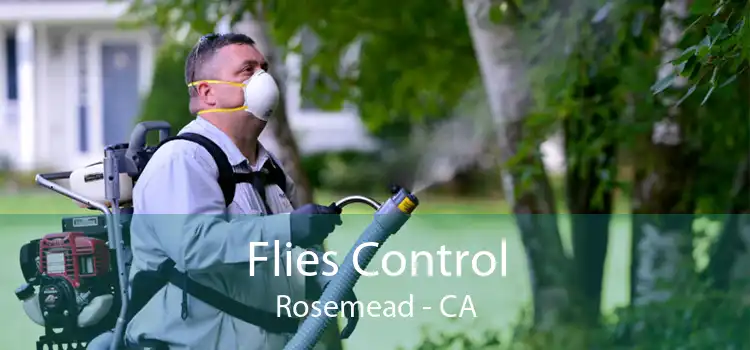 Flies Control Rosemead - CA