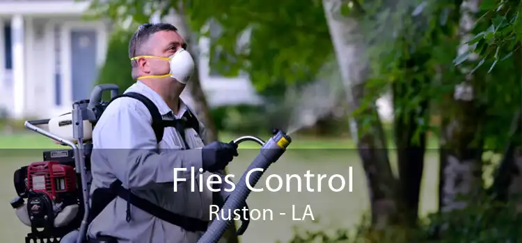 Flies Control Ruston - LA