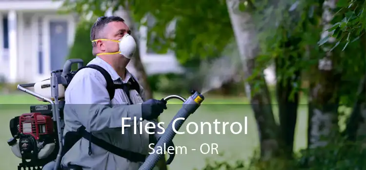 Flies Control Salem - OR