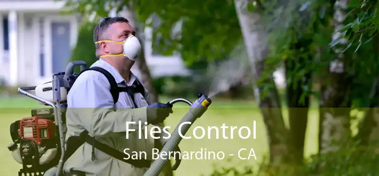Flies Control San Bernardino - CA