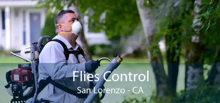 Flies Control San Lorenzo - CA