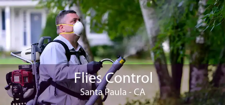 Flies Control Santa Paula - CA