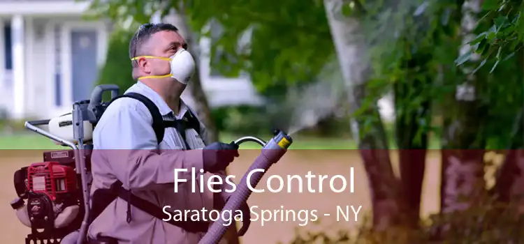Flies Control Saratoga Springs - NY