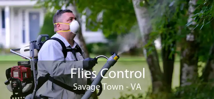 Flies Control Savage Town - VA