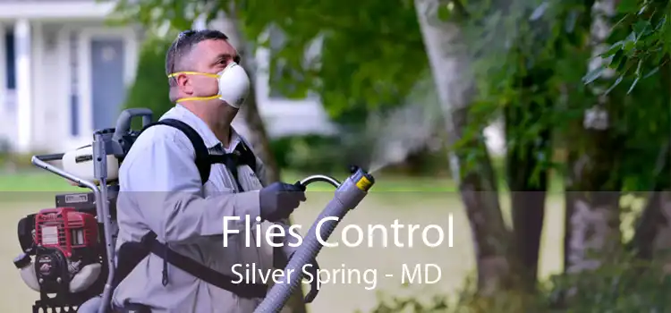 Flies Control Silver Spring - MD