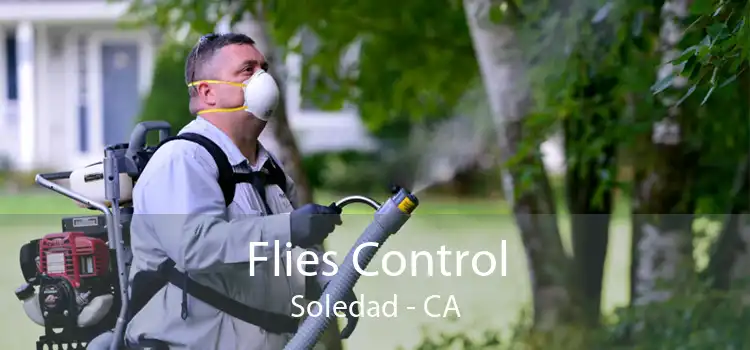 Flies Control Soledad - CA
