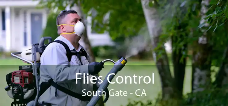 Flies Control South Gate - CA