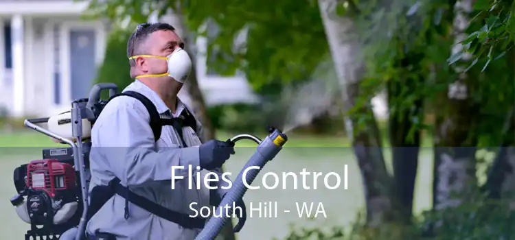Flies Control South Hill - WA