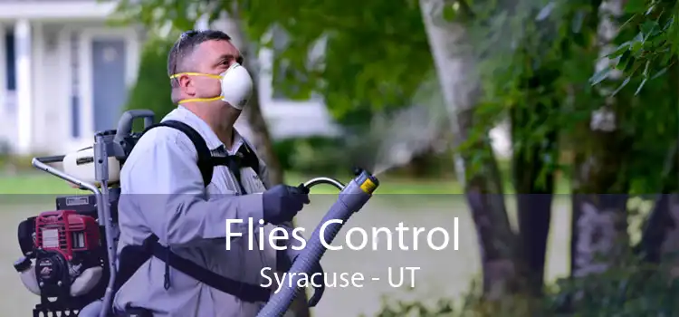 Flies Control Syracuse - UT